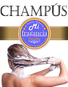 Champú